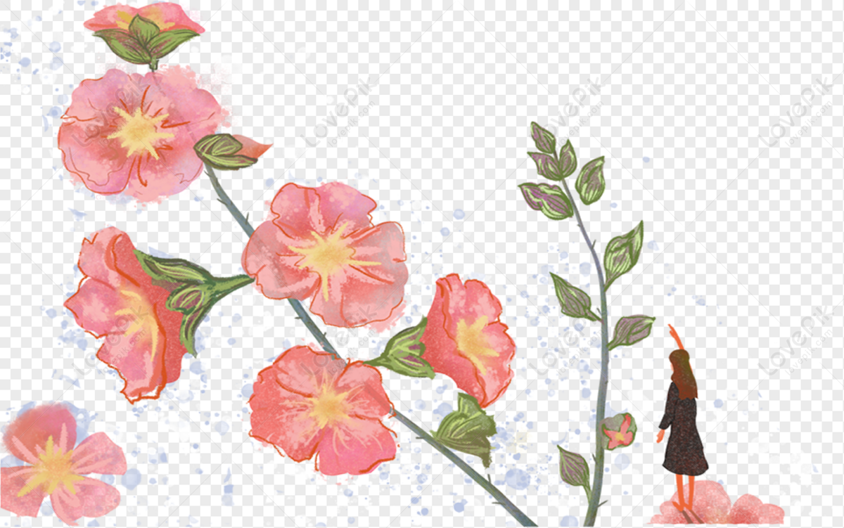 Pink Flower Cartoon png download - 2400*2400 - Free Transparent