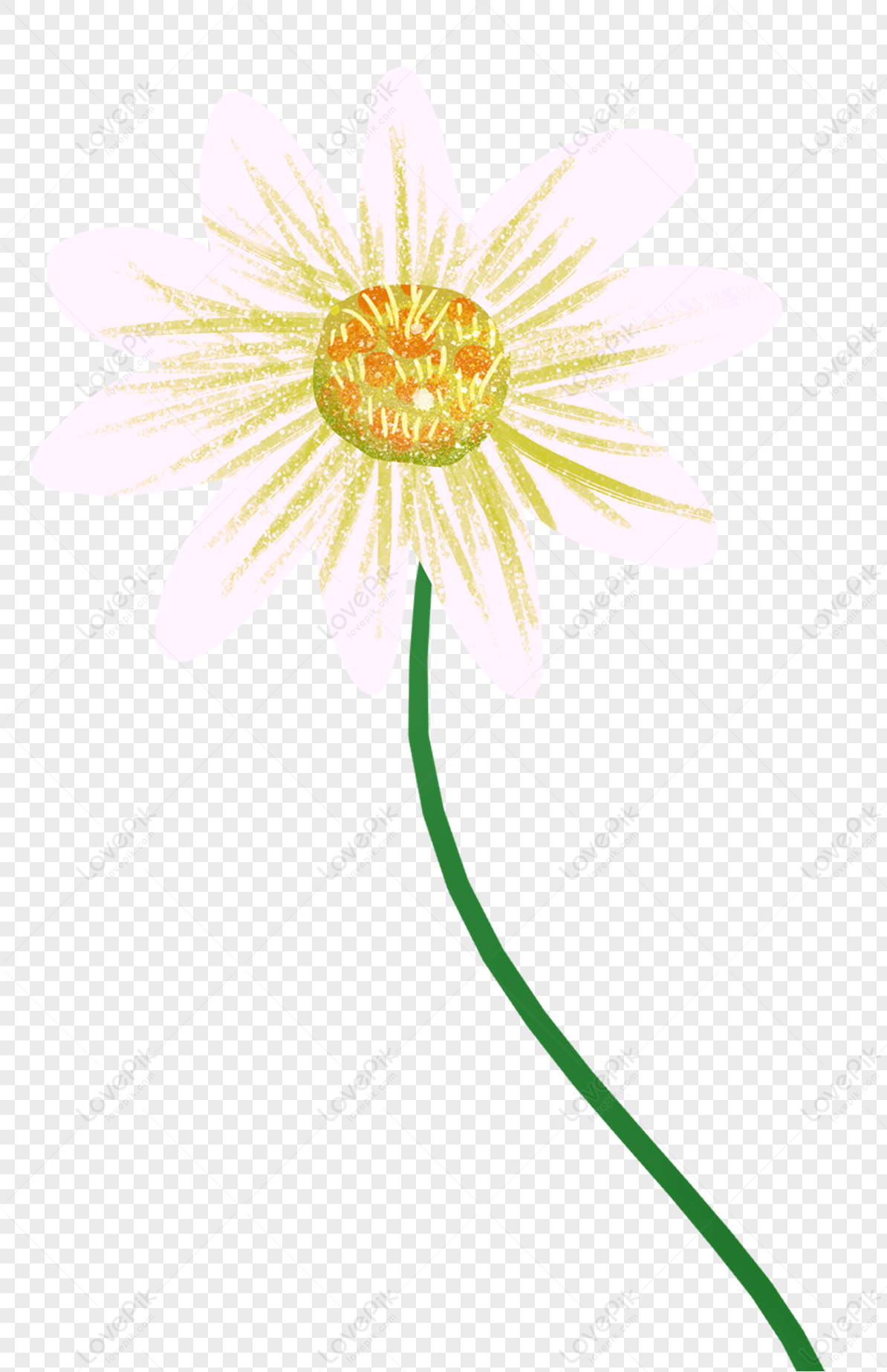 Una Flor Blanca PNG Imágenes Gratis - Lovepik