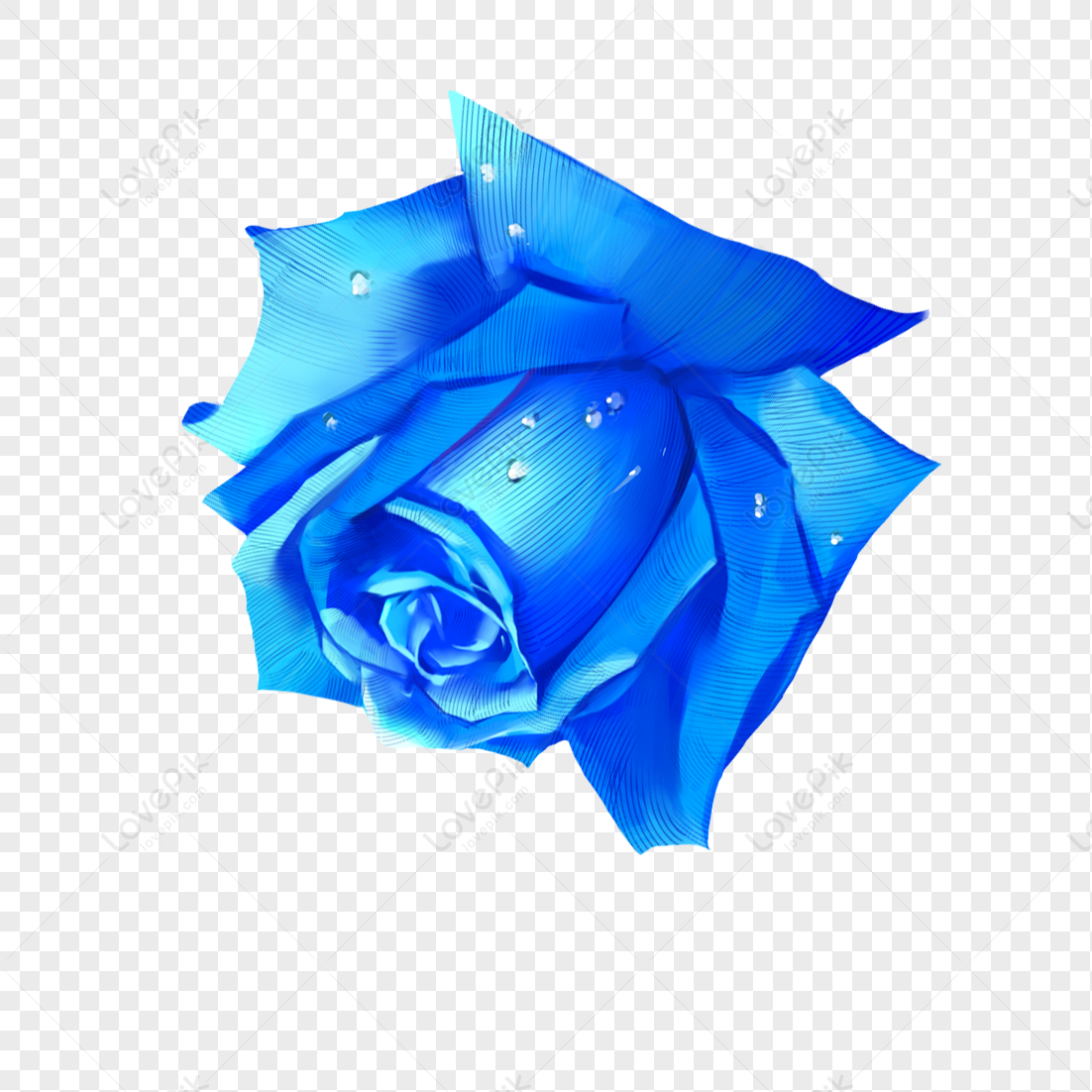 Rosa Azul PNG Imágenes Gratis - Lovepik