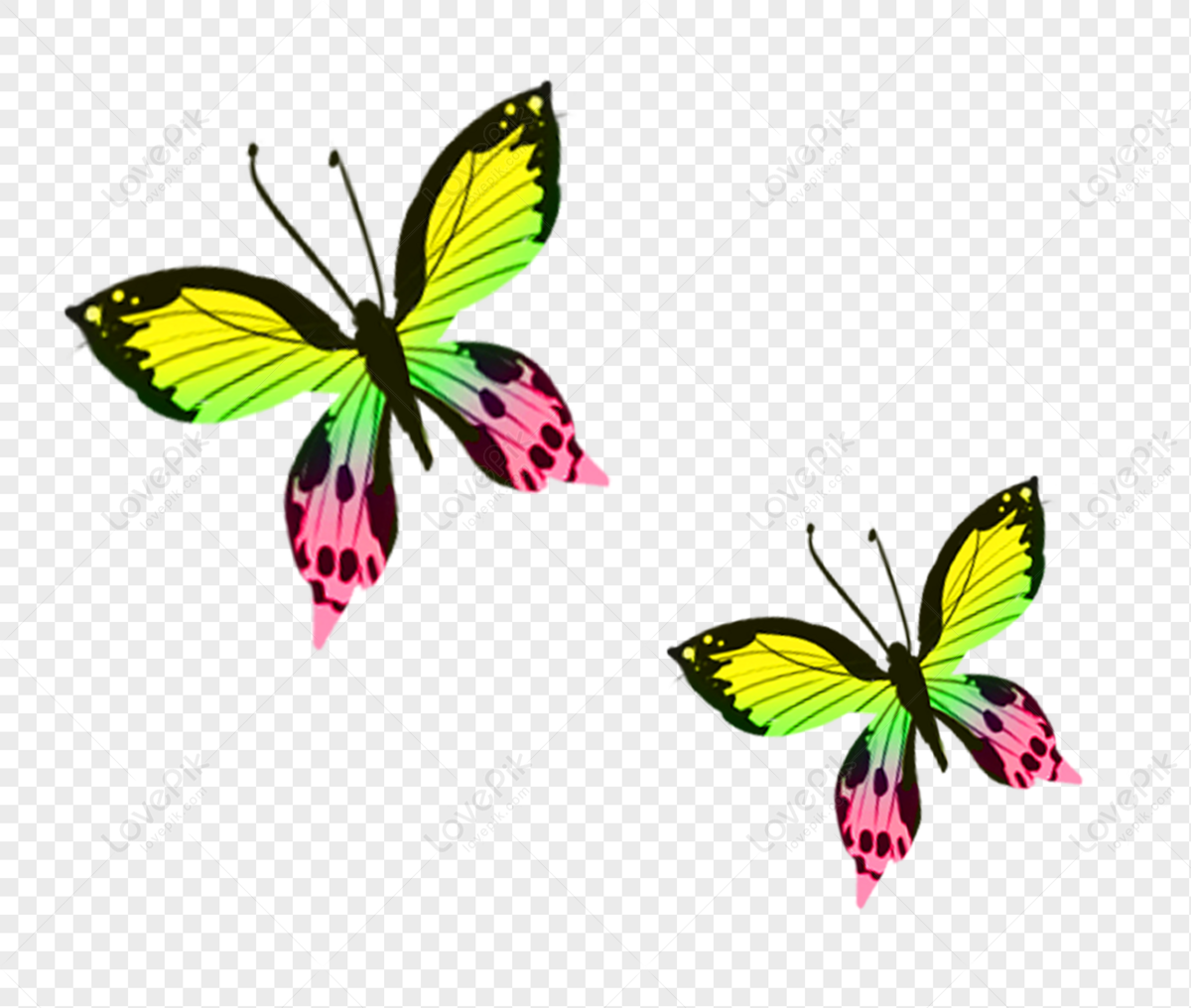 Butterfly PNG Transparent Background And Clipart Image For Free Download -  Lovepik | 400214320