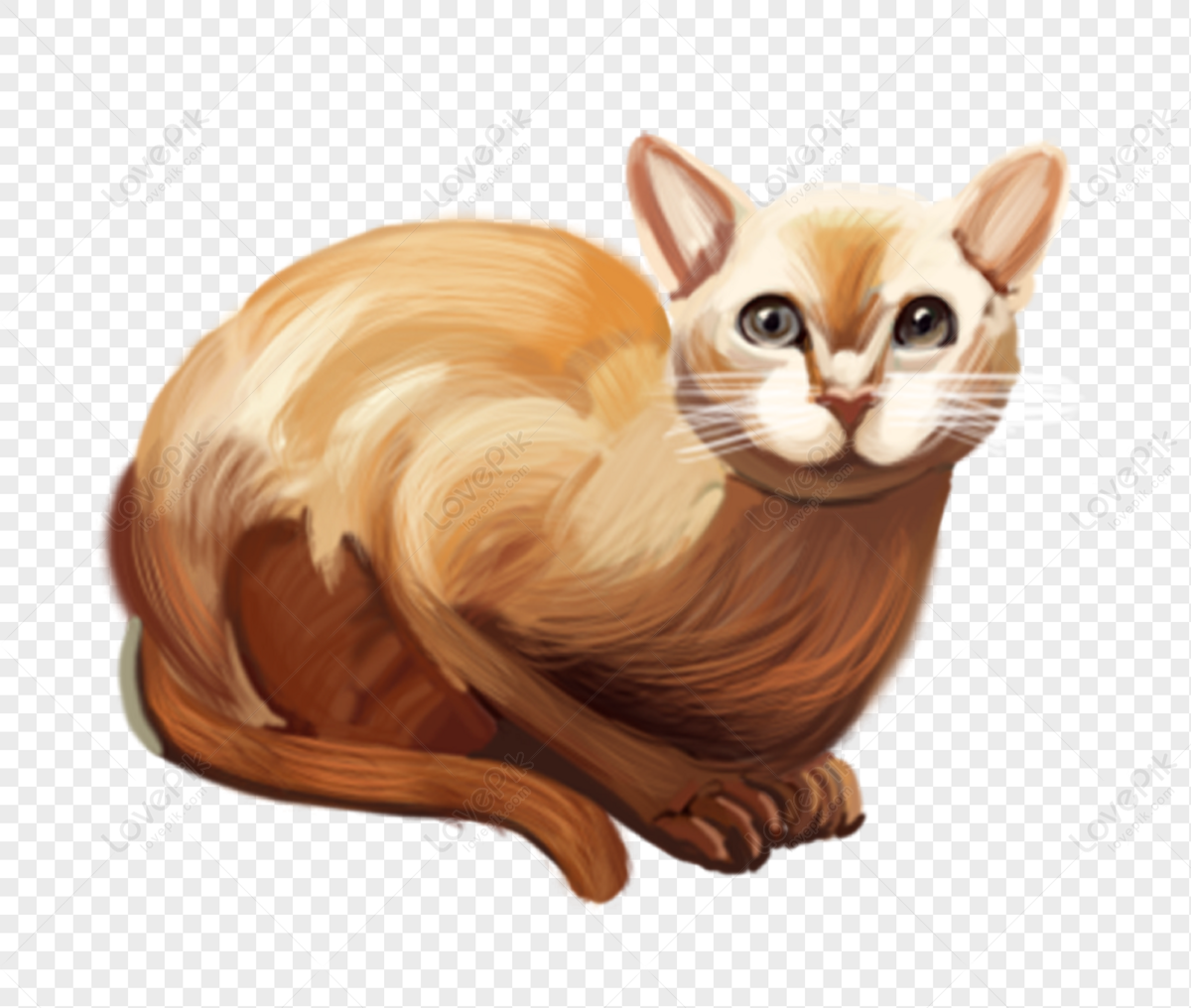 Cat PNG White Transparent And Clipart Image For Free Download - Lovepik ...