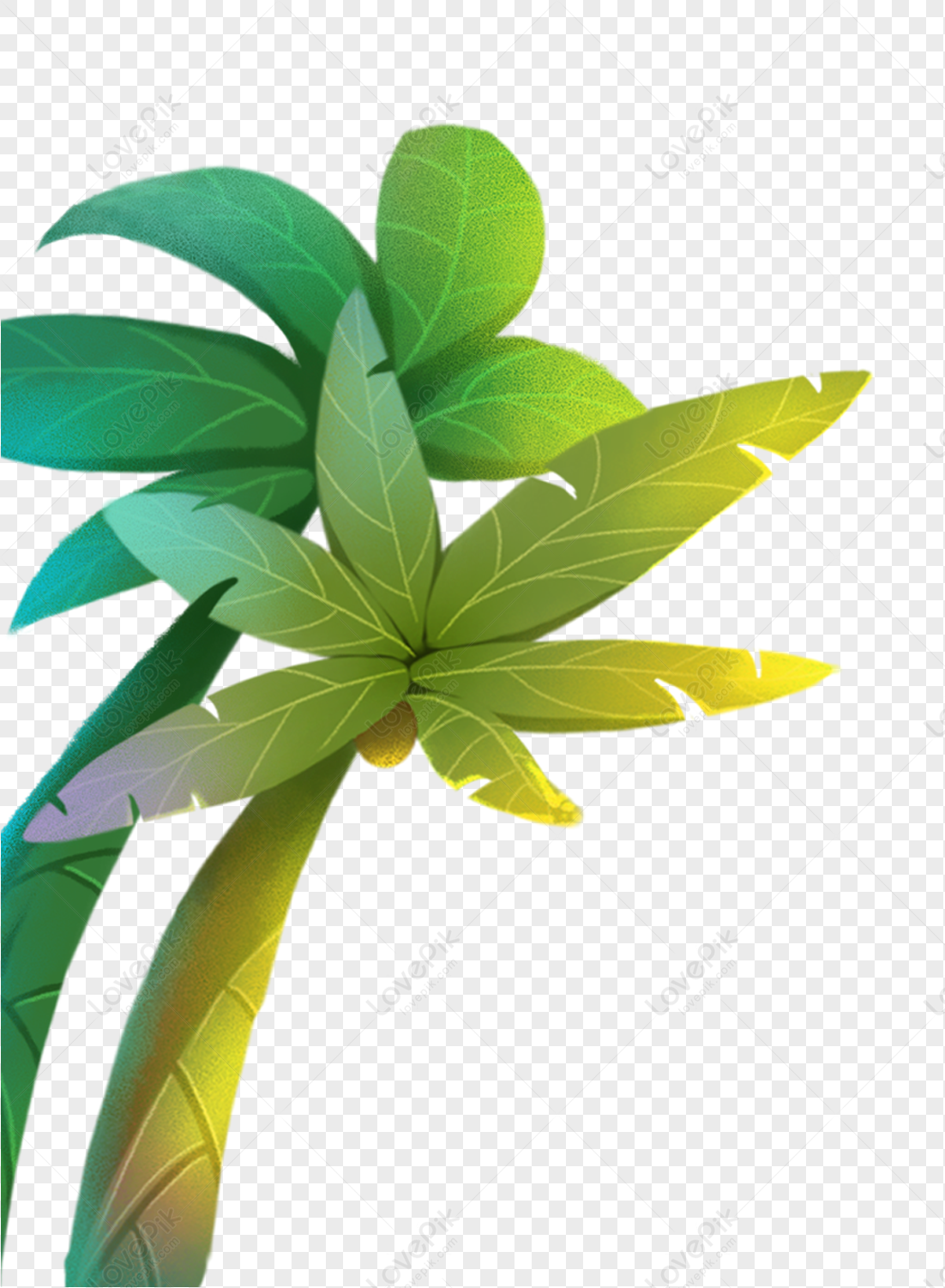 Coconut Tree PNG Transparent Background And Clipart Image For Free Download  - Lovepik | 400254350