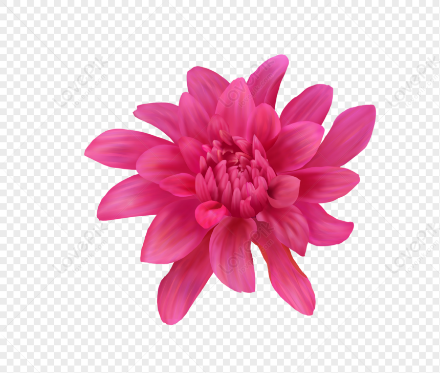 Cute Painted Flowers Materials PNG Image And Clipart Image For Free ...