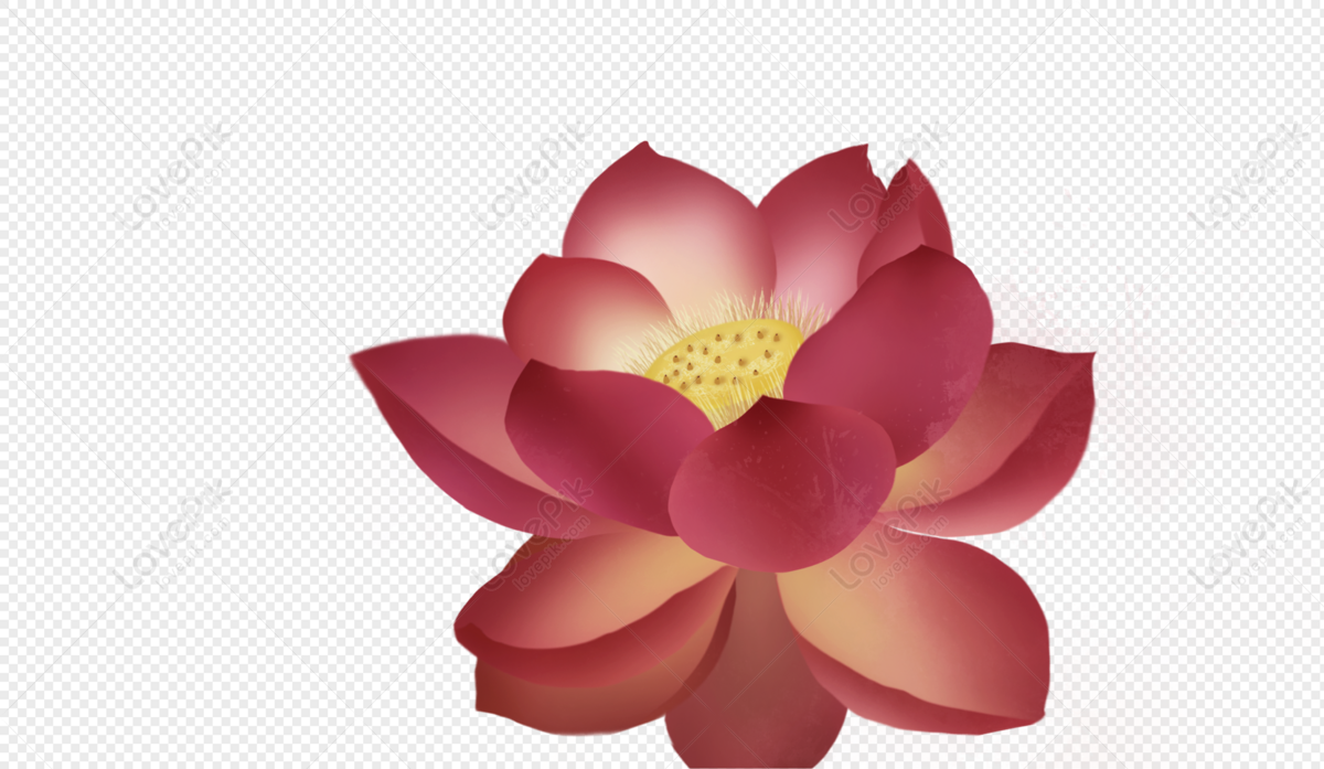 Flower Material Free PNG And Clipart Image For Free Download - Lovepik |  400207399