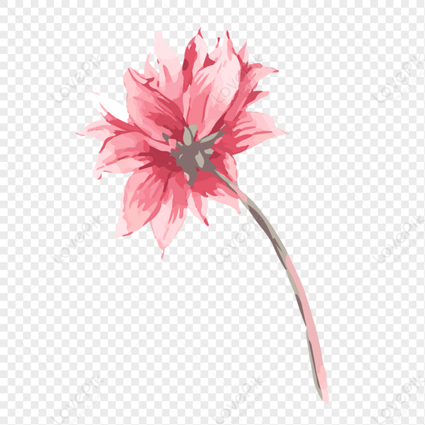 Flower, Flower Transparent, Flower Painting, Flower Vector PNG ...