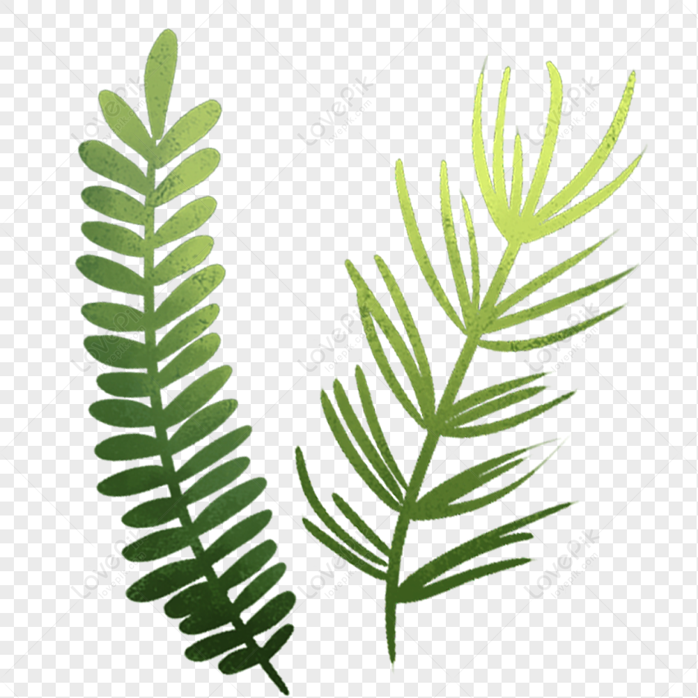 Green Leaf, Green Leaves, Gray Green, Green Paper Free PNG And Clipart ...