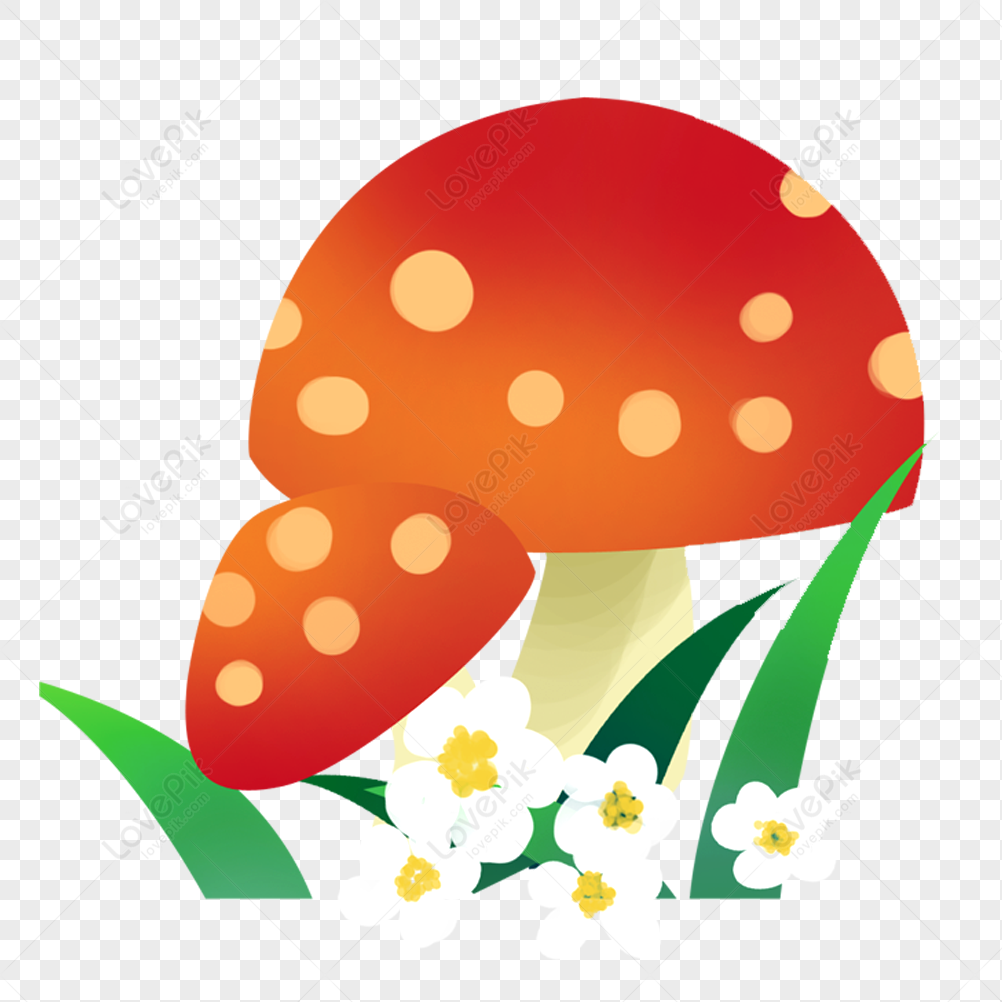 Mushroom Flowers, Flowers Red, Flowers Grass, Green Mushroom PNG ...