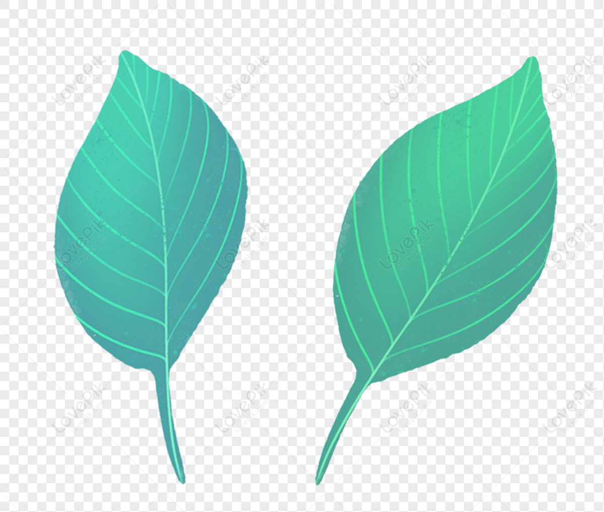 plant-leaves-green-leaves-leaves-transparent-green-light-png-free