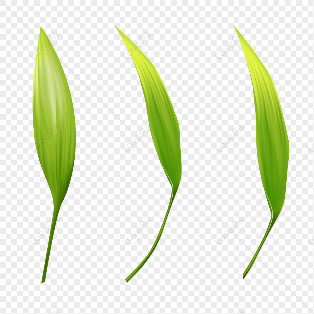 Plant Leaves Green Leaves Material Leaves Png Hd Transparent Image