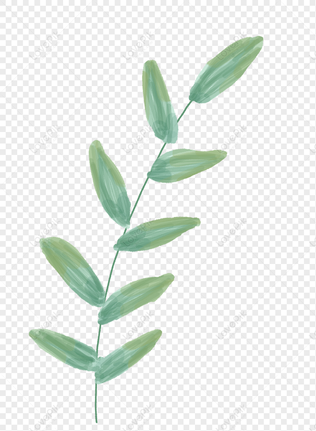 Plant Leaves PNG Hd Transparent Image And Clipart Image For Free ...