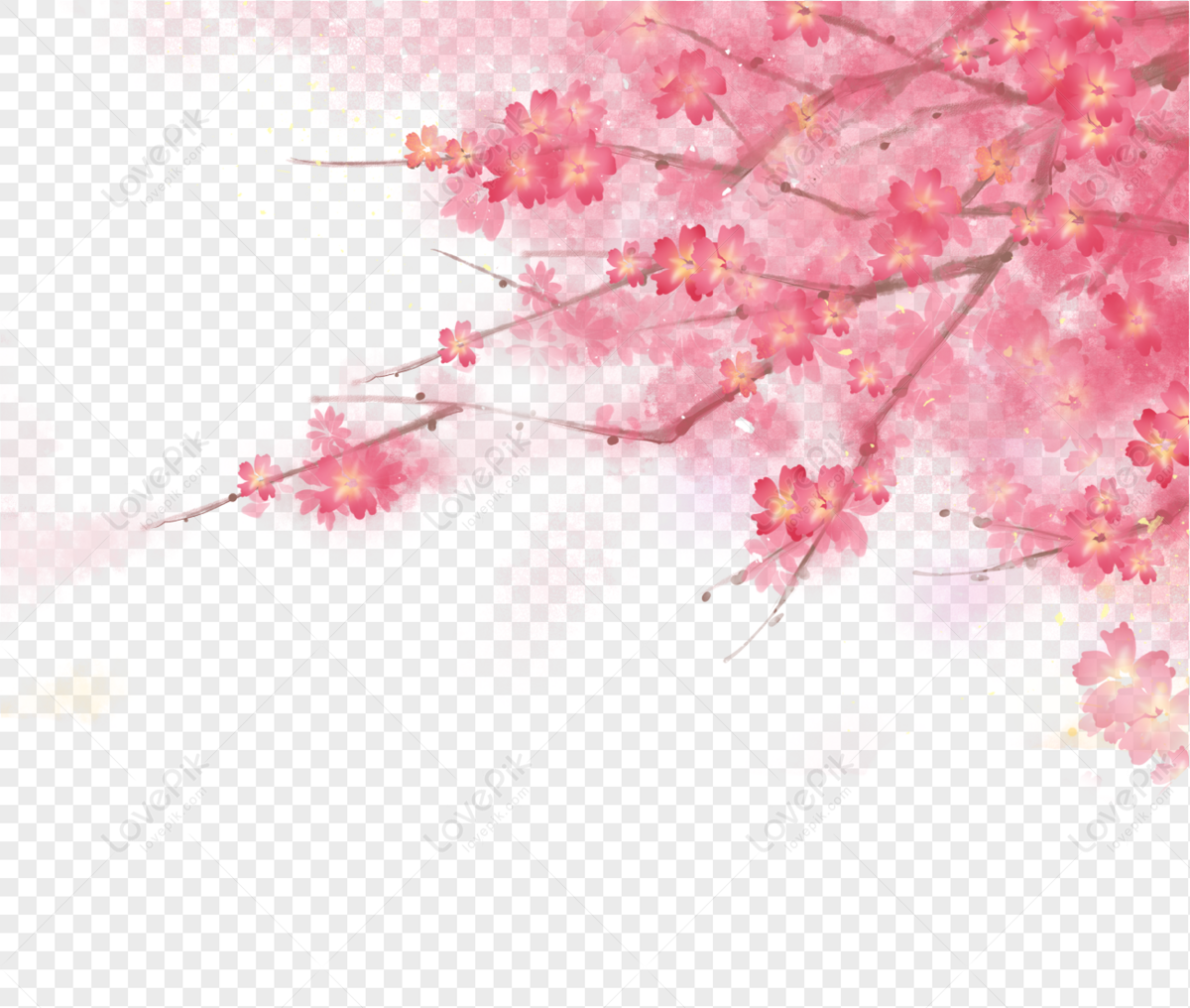 Plum Blossom, Blossom Pink, Pink Red, Blossom Branch PNG Hd Transparent ...