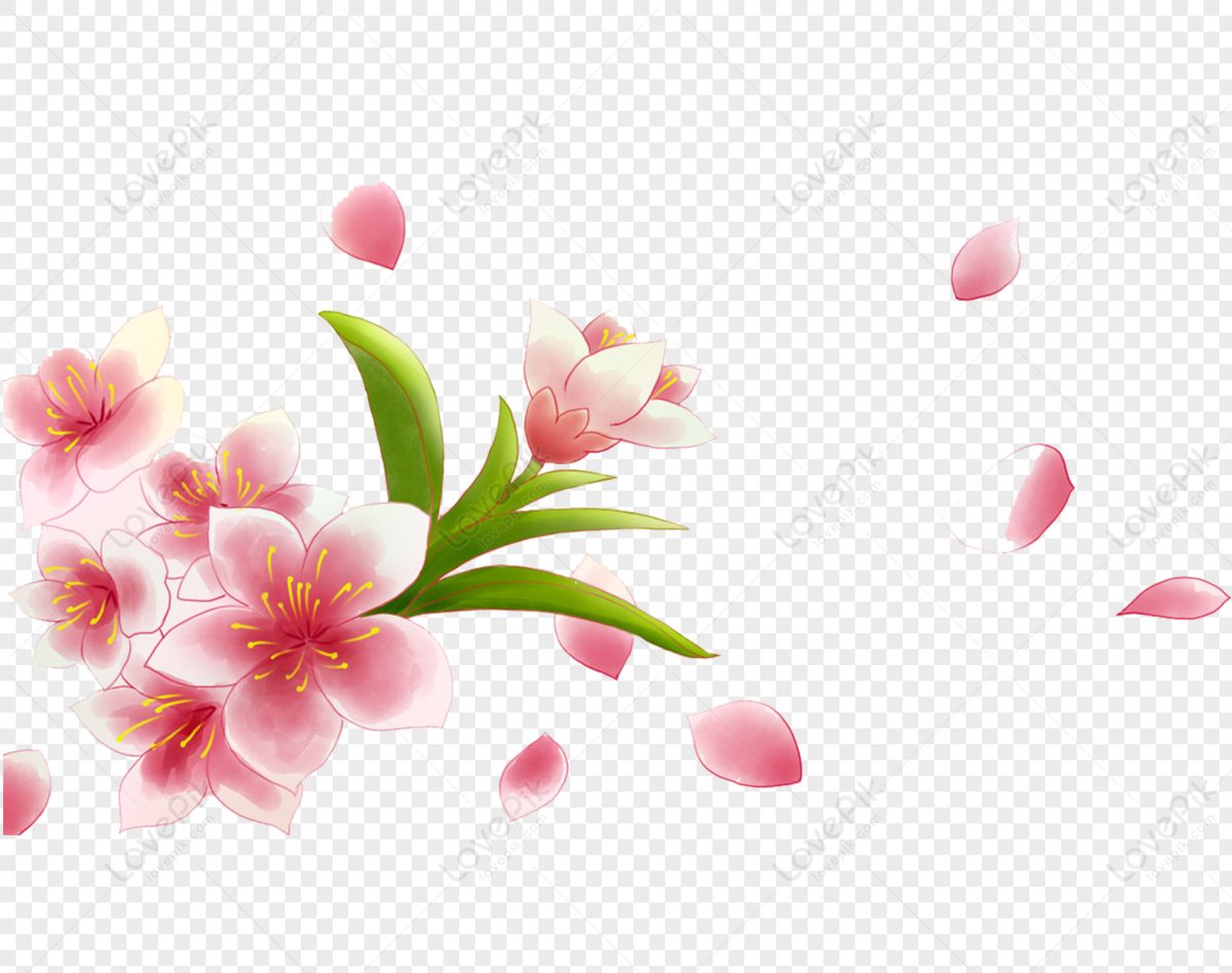 Flores Rojas PNG Imágenes Gratis - Lovepik