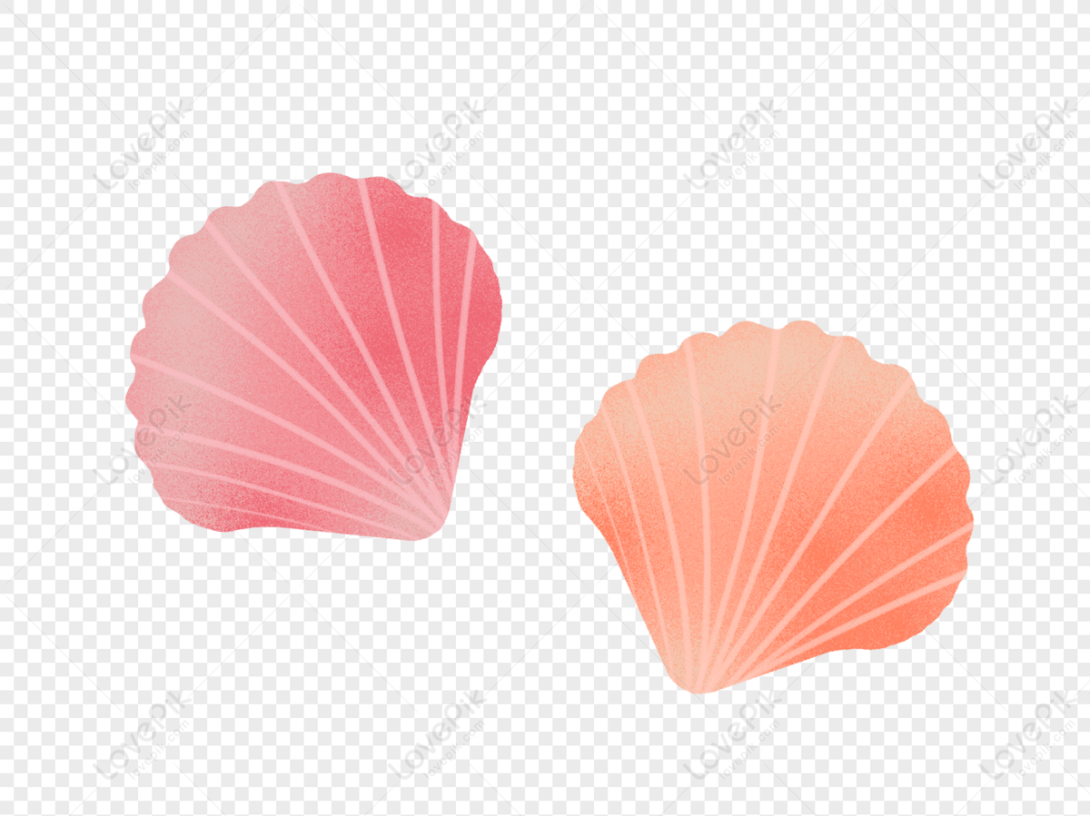 Shell PNG Transparent And Clipart Image For Free Download - Lovepik ...