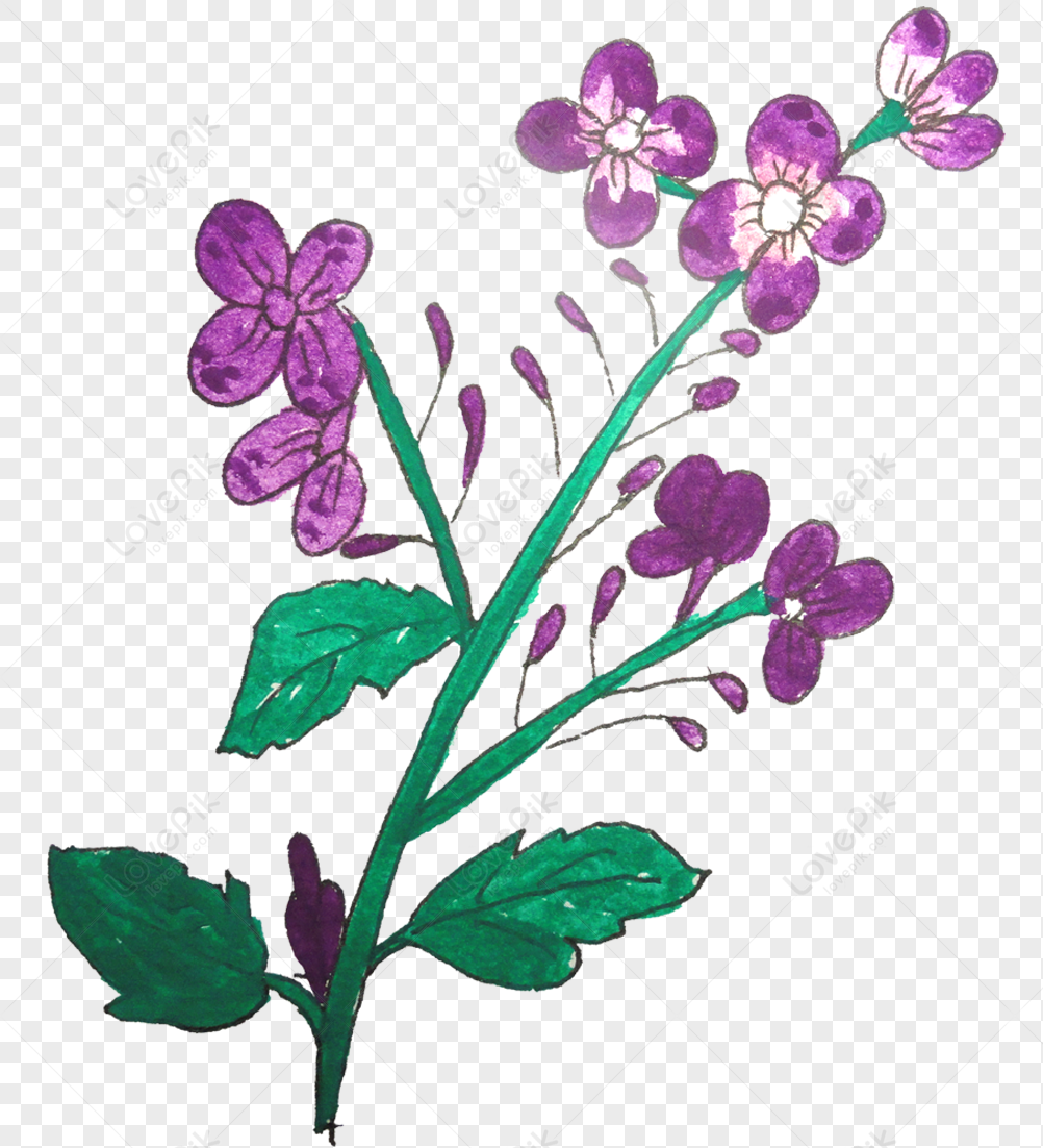 Simple Painted Flowers Petals PNG Image Free Download And Clipart Image ...