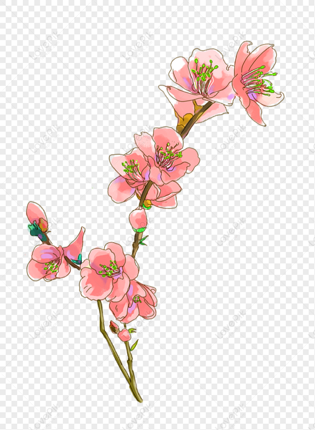 Flower, Flower Transparent, Flower Flowers, Flower Light PNG