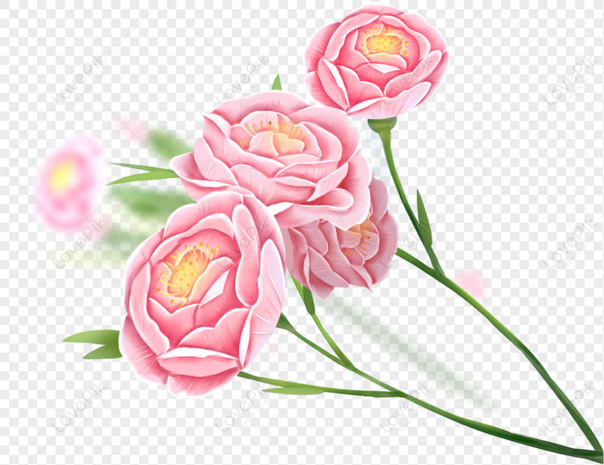 Subshrubby Peony Flower PNG Transparent And Clipart Image For Free Download  - Lovepik | 400232046