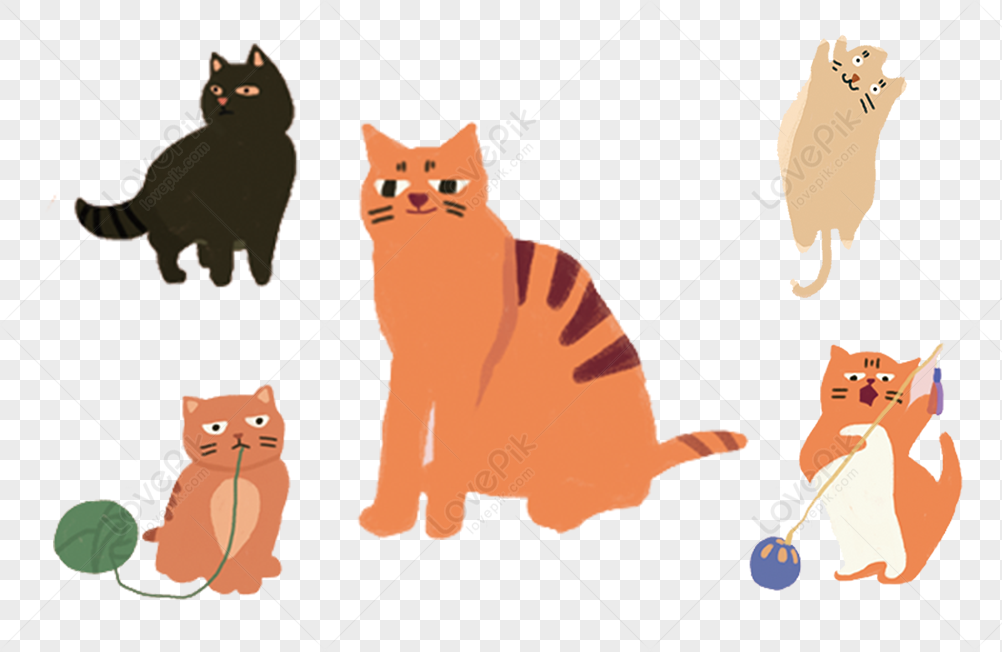 Cat Cat PNG Transparent Image And Clipart Image For Free Download ...