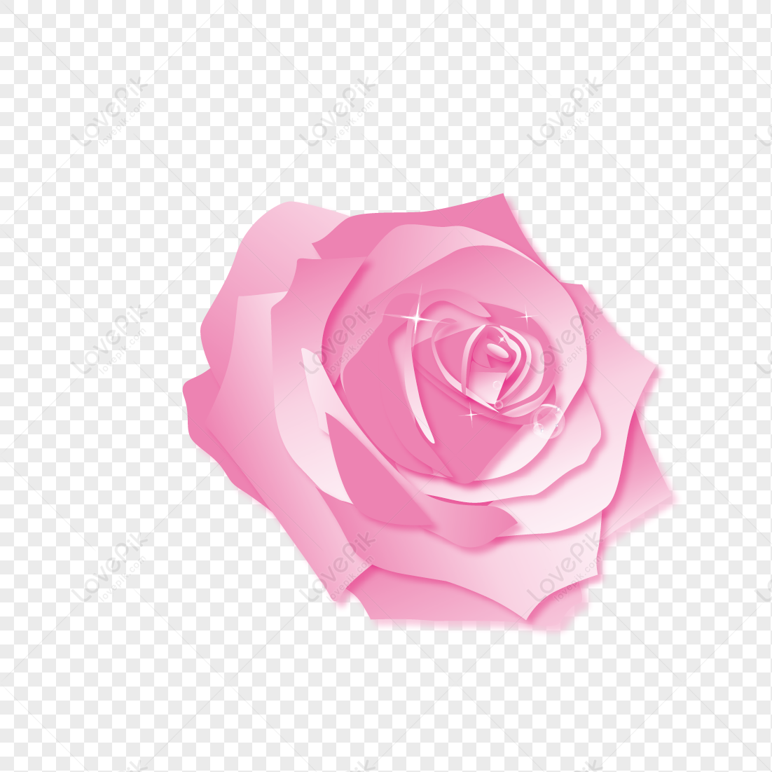 flower-flower-rose-flower-transparent-rose-transparent-png-image-and