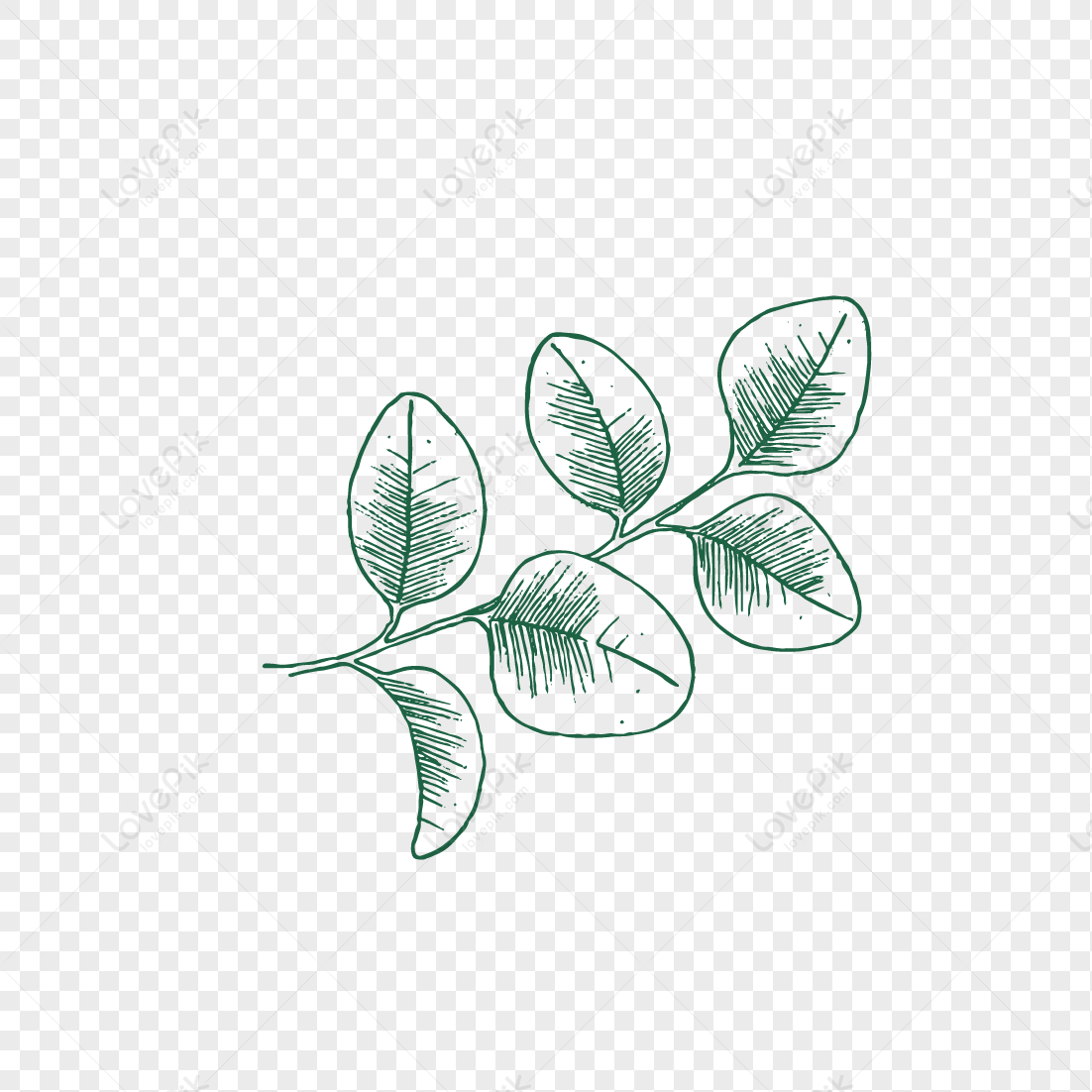 Hand Painted Grass Picture PNG White Transparent And Clipart Image For ...