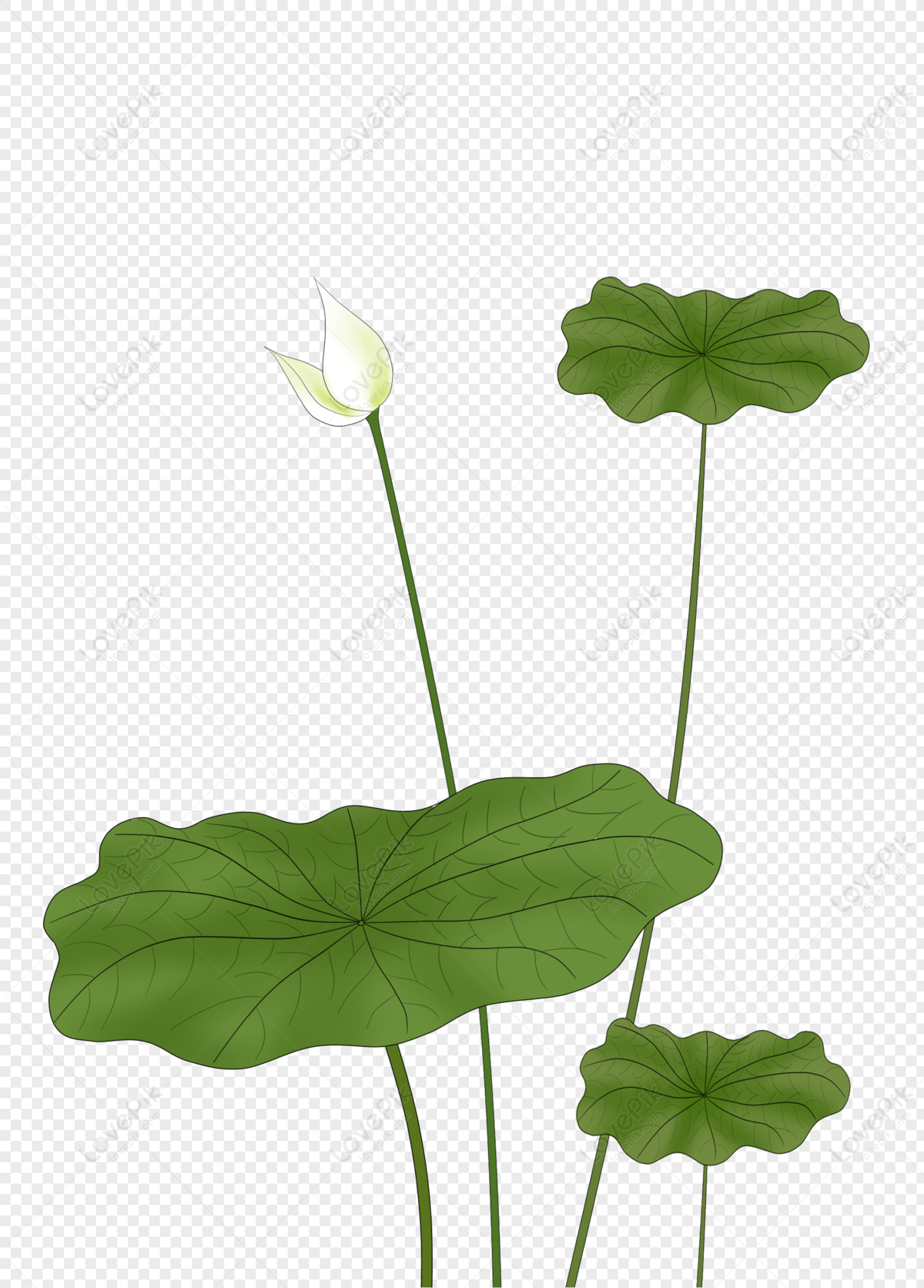 Hand Painted Simple Lotus Petals PNG Picture And Clipart Image For Free ...