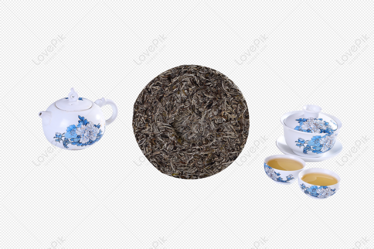 silver needle white tea clipart