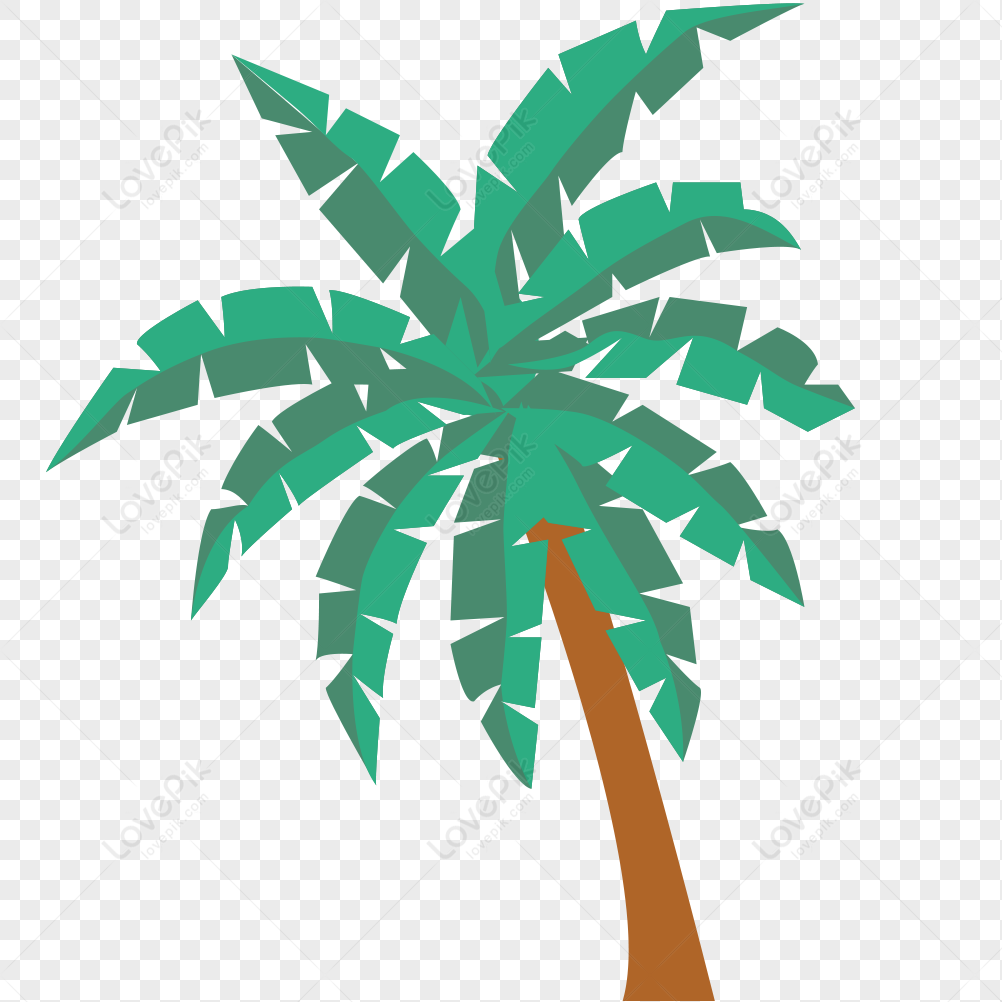 Coconut Tree PNG White Transparent And Clipart Image For Free Download ...