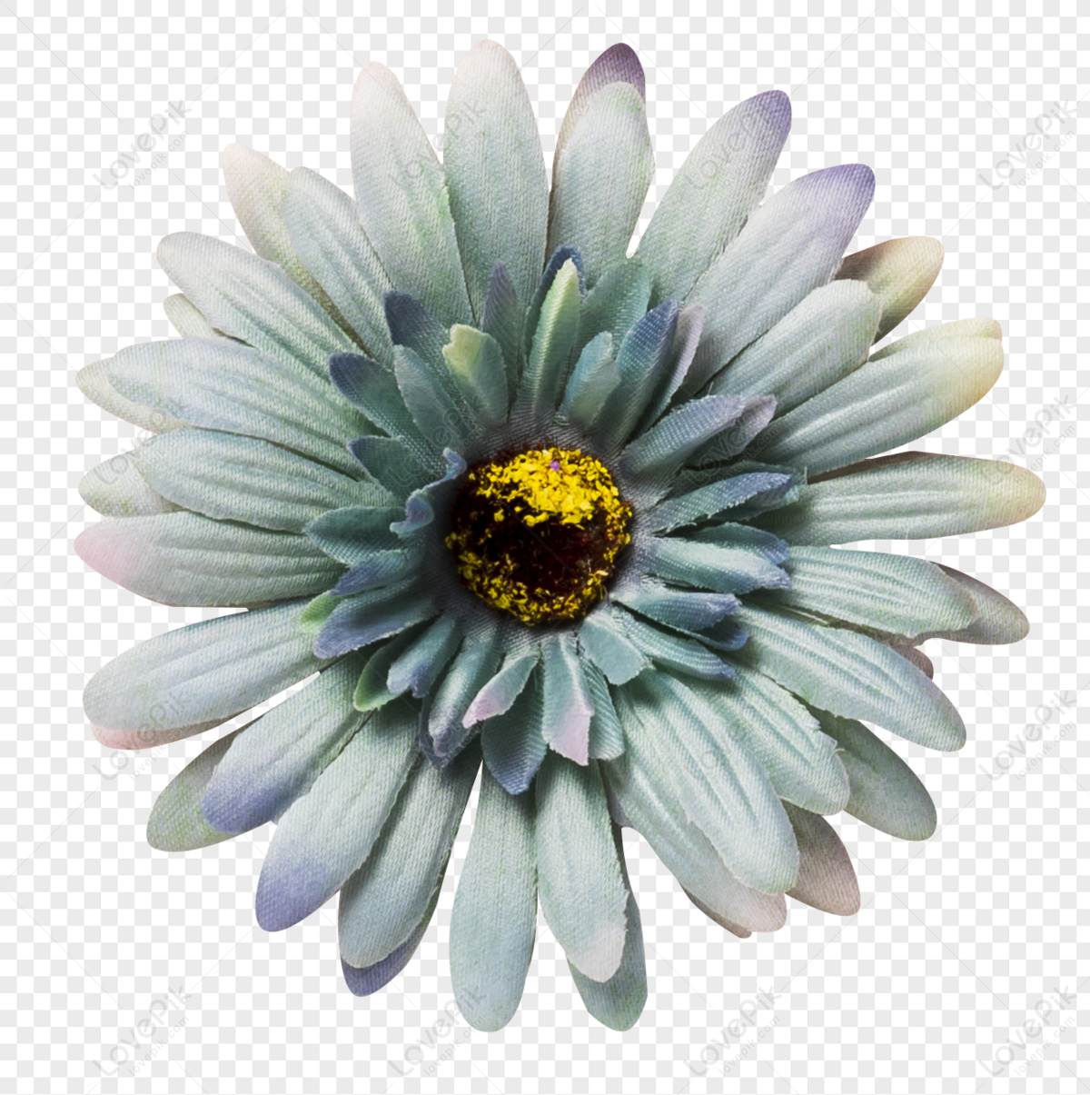 Flower, Flower Transparent, Flower Flowers, Flower Light PNG