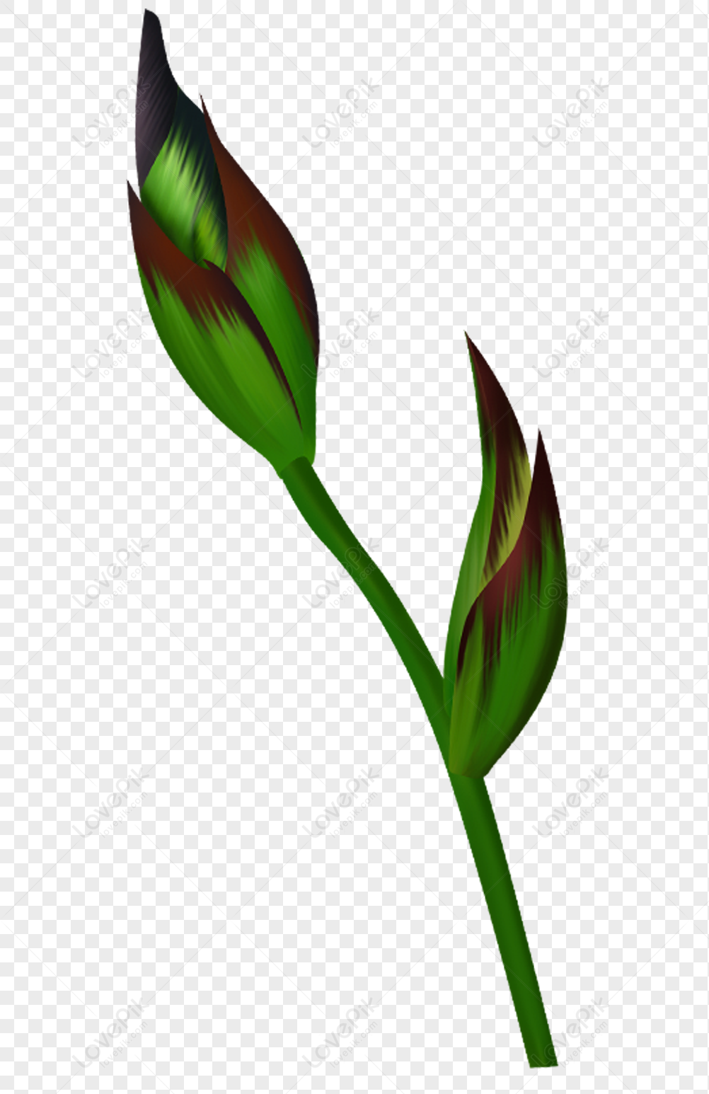 Flores Verdes PNG Imágenes Gratis - Lovepik