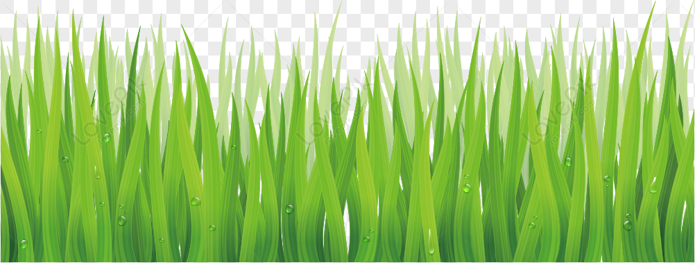 Green Grass PNG Hd Transparent Image And Clipart Image For Free Download -  Lovepik | 400319934