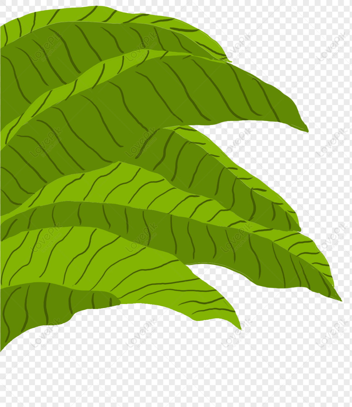 Banana Leaf Free PNG And Clipart Image For Free Download - Lovepik |  400414799