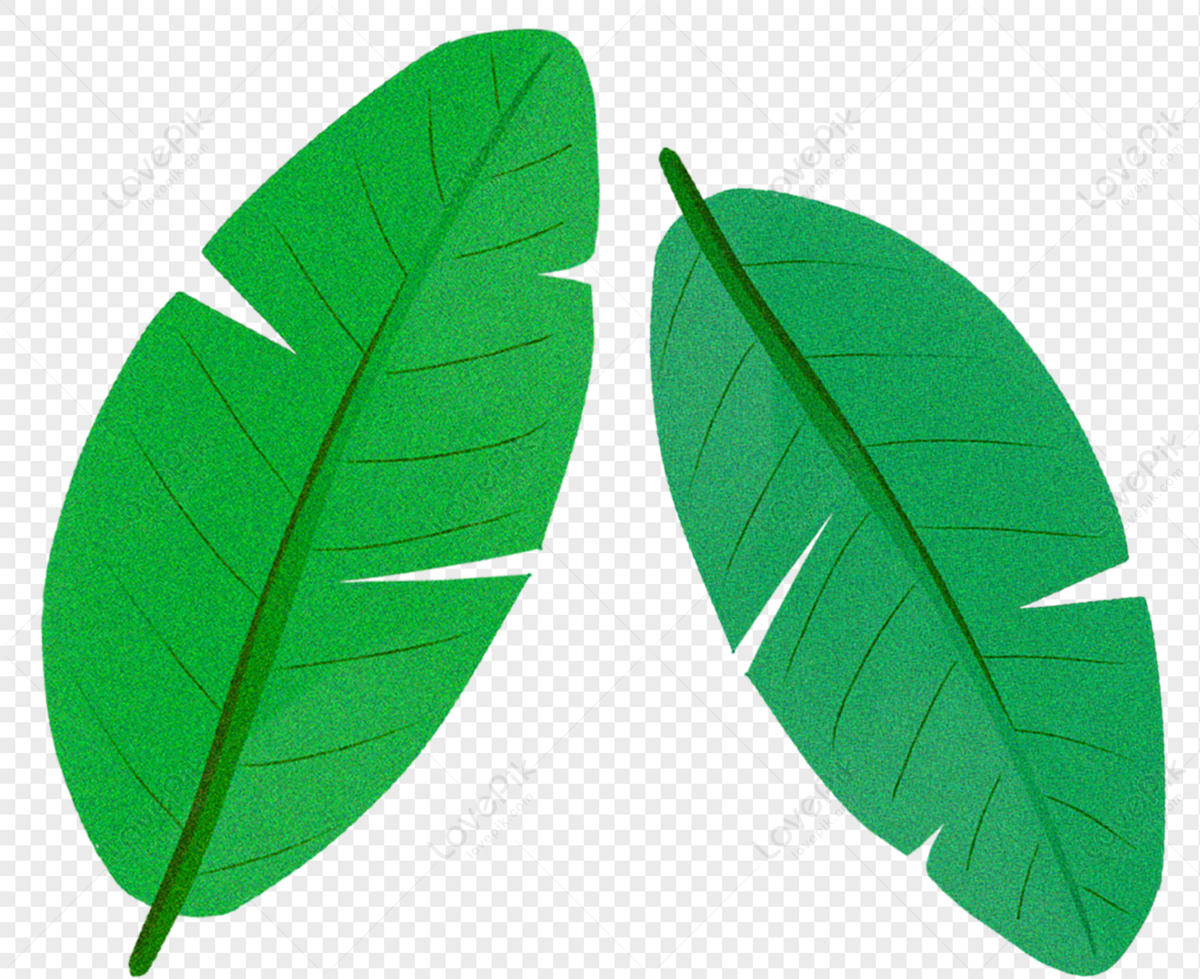 Cartoon Leaves Decoration Graphic PNG Image Free Download And Clipart ...