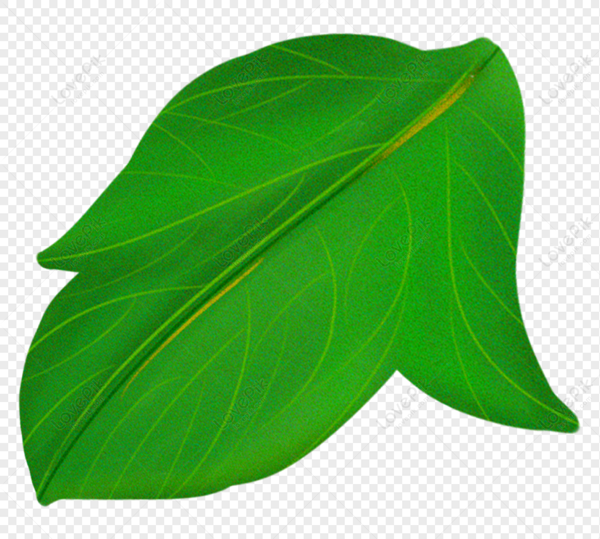 Cartoon Leaves Decoration Png Free PNG And Clipart Image For Free ...