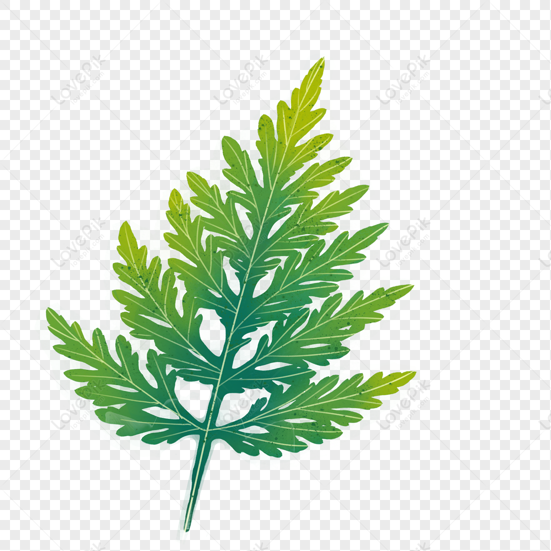 cartoon-plants-elements-picture-png-free-download-and-clipart-image-for