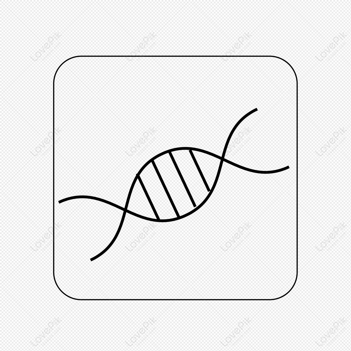 dna drawing png