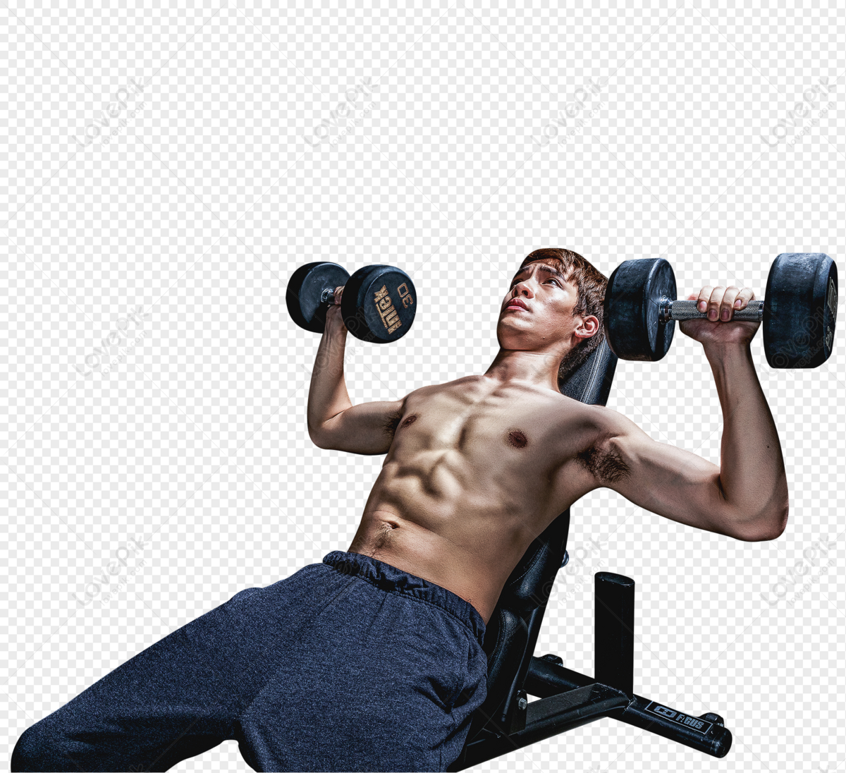Gym Strong Man Dumbbell Movement PNG Free Download And Clipart Image For  Free Download - Lovepik | 400336673