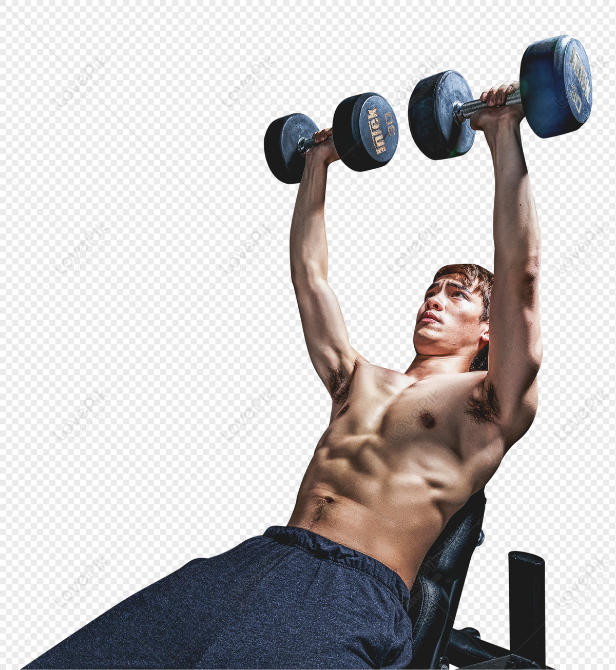 Gym Strong Man Dumbbell Movement PNG Transparent Image And Clipart Image  For Free Download - Lovepik | 400336677