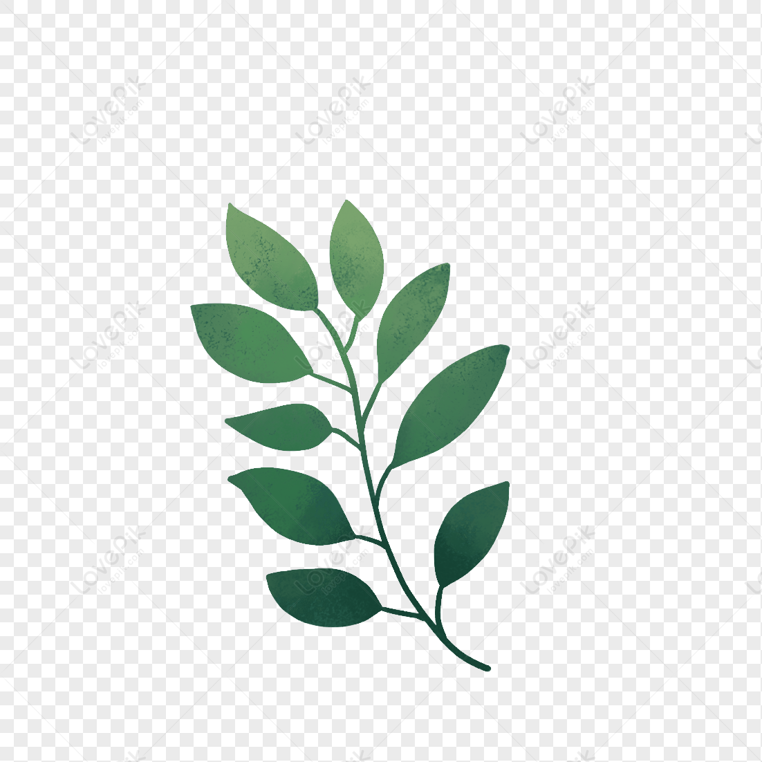 Hand Drawn Leaves Elements Image PNG Image And Clipart Image For Free ...