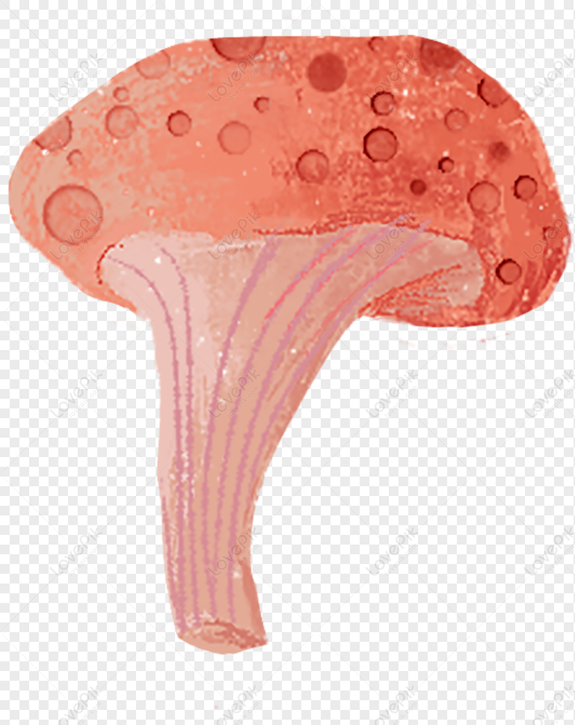 Cogumelo De Desenho Animado Bonito PNG , Desenho Animado, Pintado à Mão,  Encantador Imagem PNG e PSD Para Download Gratuito
