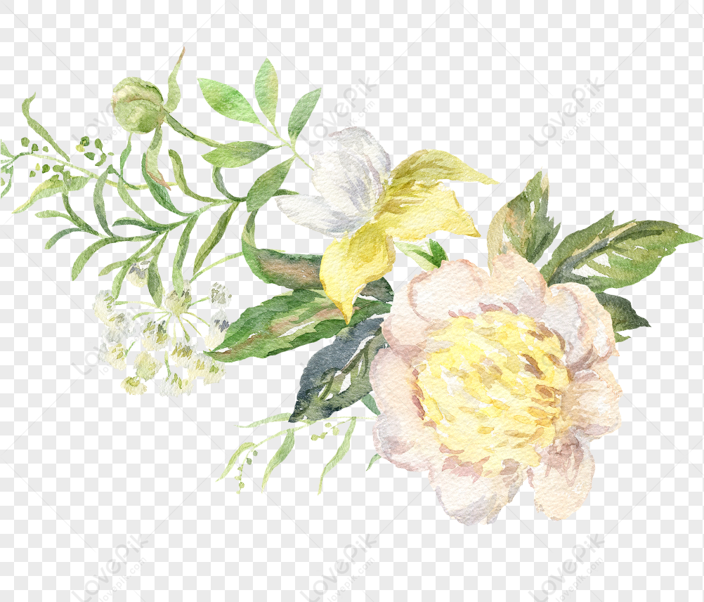 Flores Pintadas A Mano PNG Imágenes Gratis - Lovepik