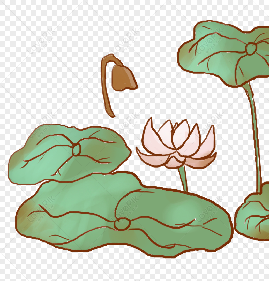 Lotus Leaf Flower, Cute Light, Leaves Transparent, Cute Leaves Free PNG ...