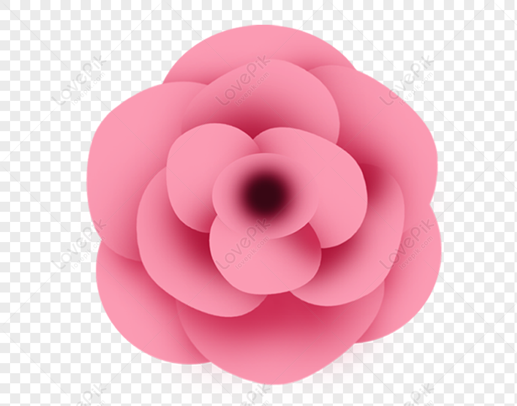 Flores Rosas PNG Imágenes Gratis - Lovepik