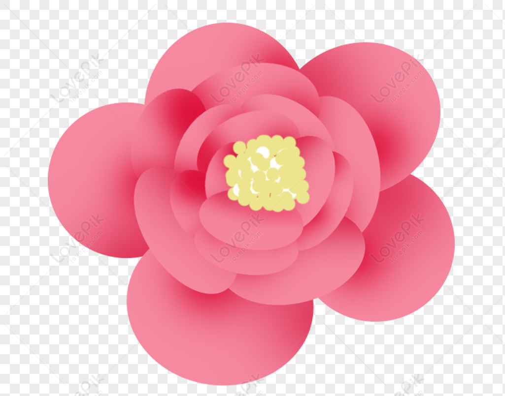 Flores Rosas PNG Imágenes Gratis - Lovepik
