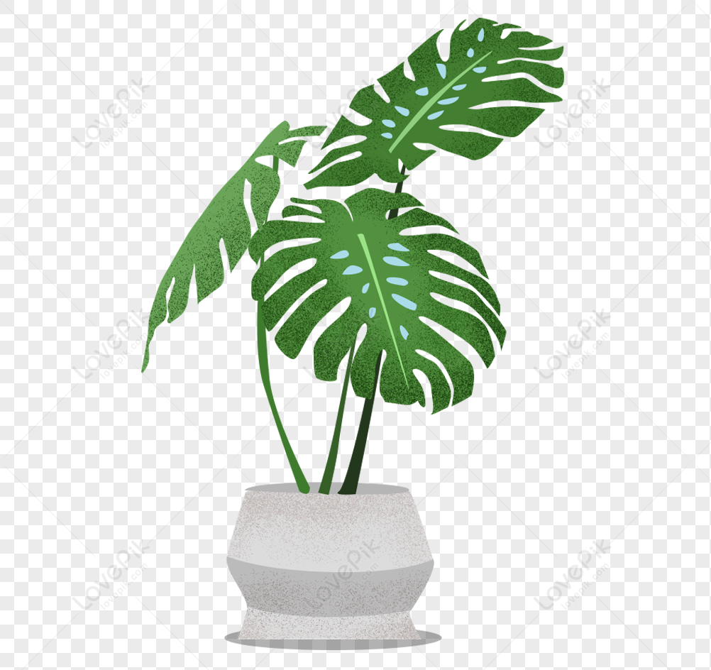 Plant Potted Plant, Plant Vector, Isometric Plant, Green Plant PNG ...