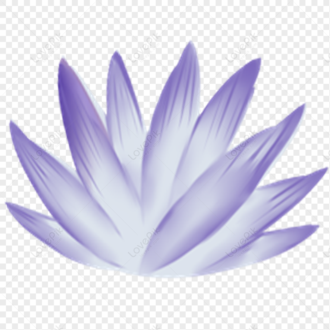 Flor Morada PNG Imágenes Gratis - Lovepik