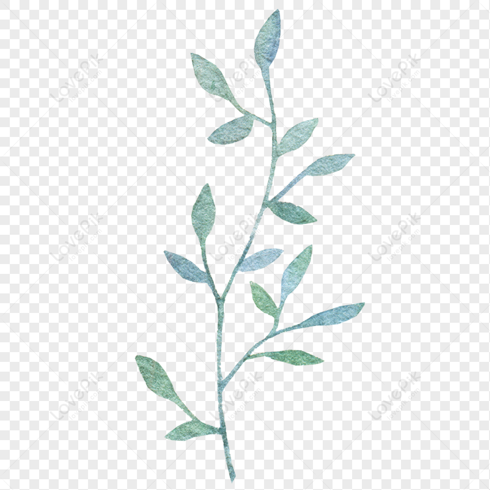 Bluish Green Leaves, Green Simple, Gray Green, Green Materials PNG Hd ...