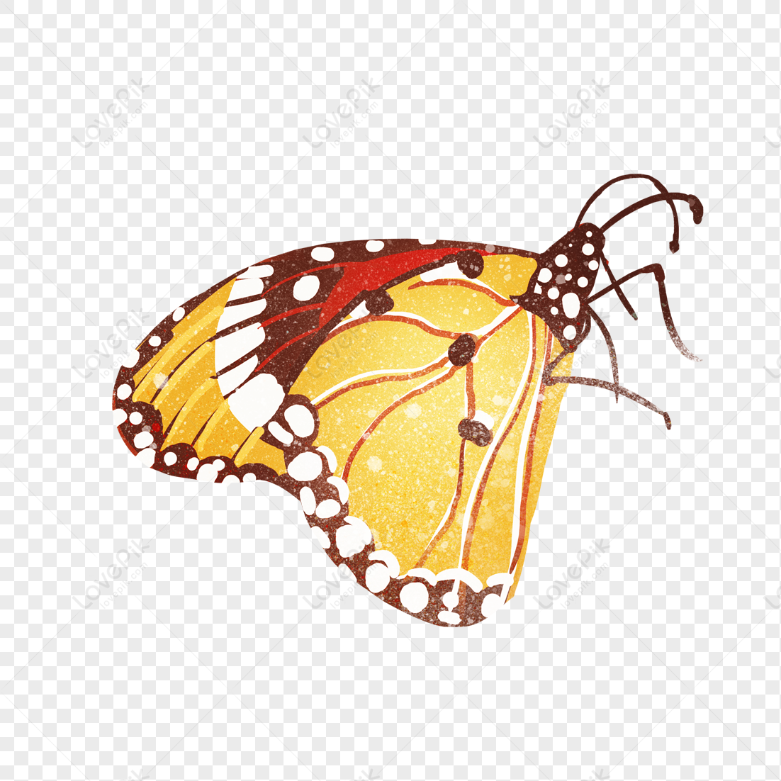 Butterfly PNG Transparent And Clipart Image For Free Download - Lovepik ...