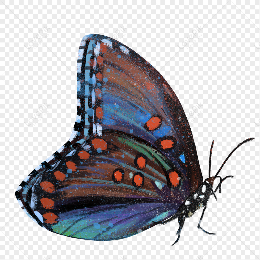 Butterfly Free PNG And Clipart Image For Free Download - Lovepik | 400457019