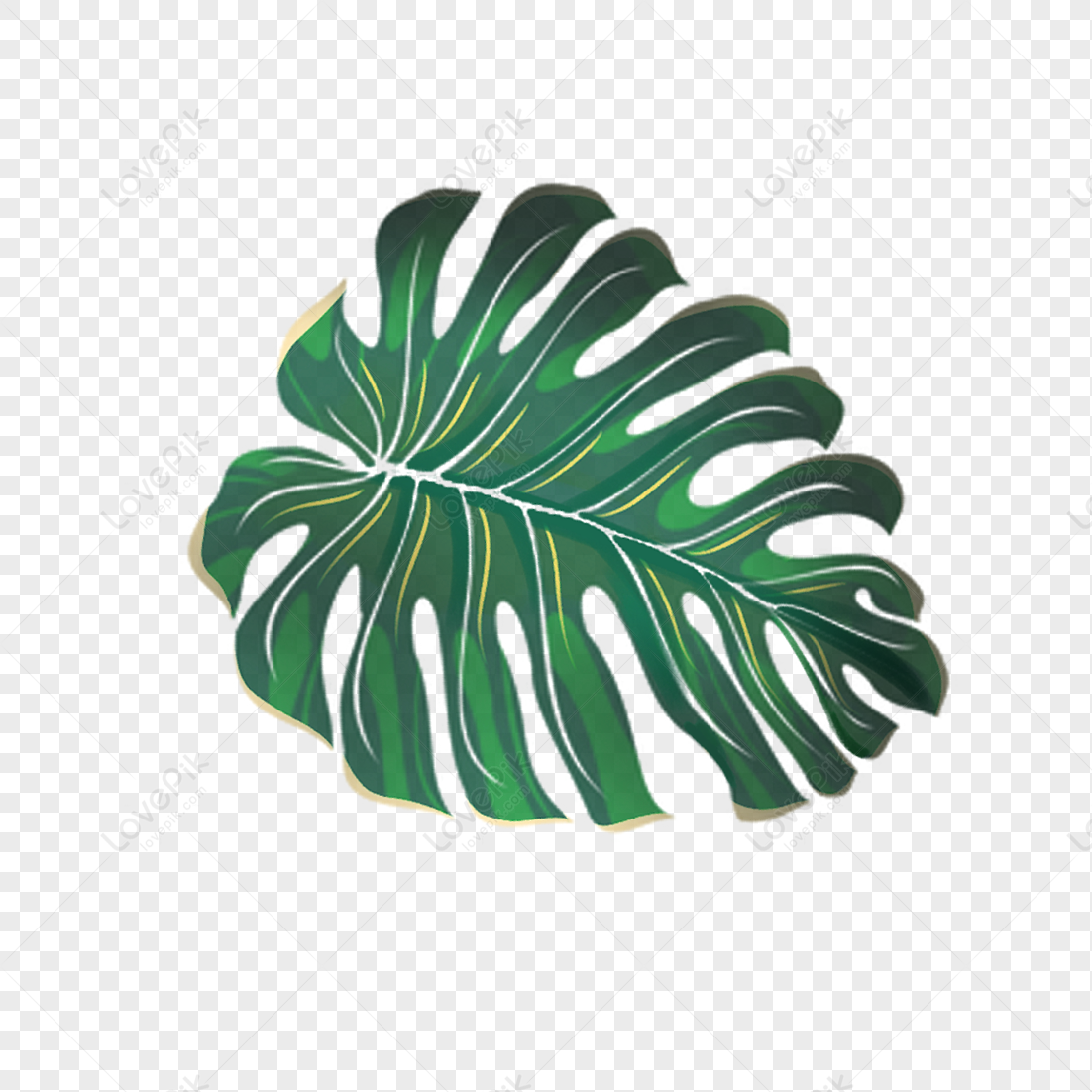 Green Leaf, Green Minimalist, Green Leaves, Material PNG White ...