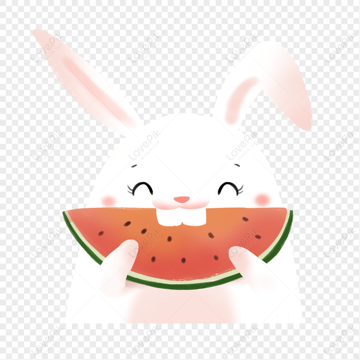 can bunnies eat watermelon