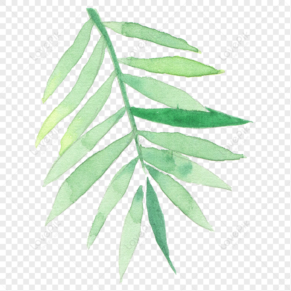 Botany PNG Free Download And Clipart Image For Free Download - Lovepik ...